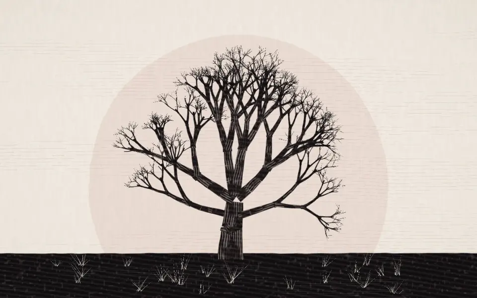 A bare tree drawn as a fine silhouette against a pale disc